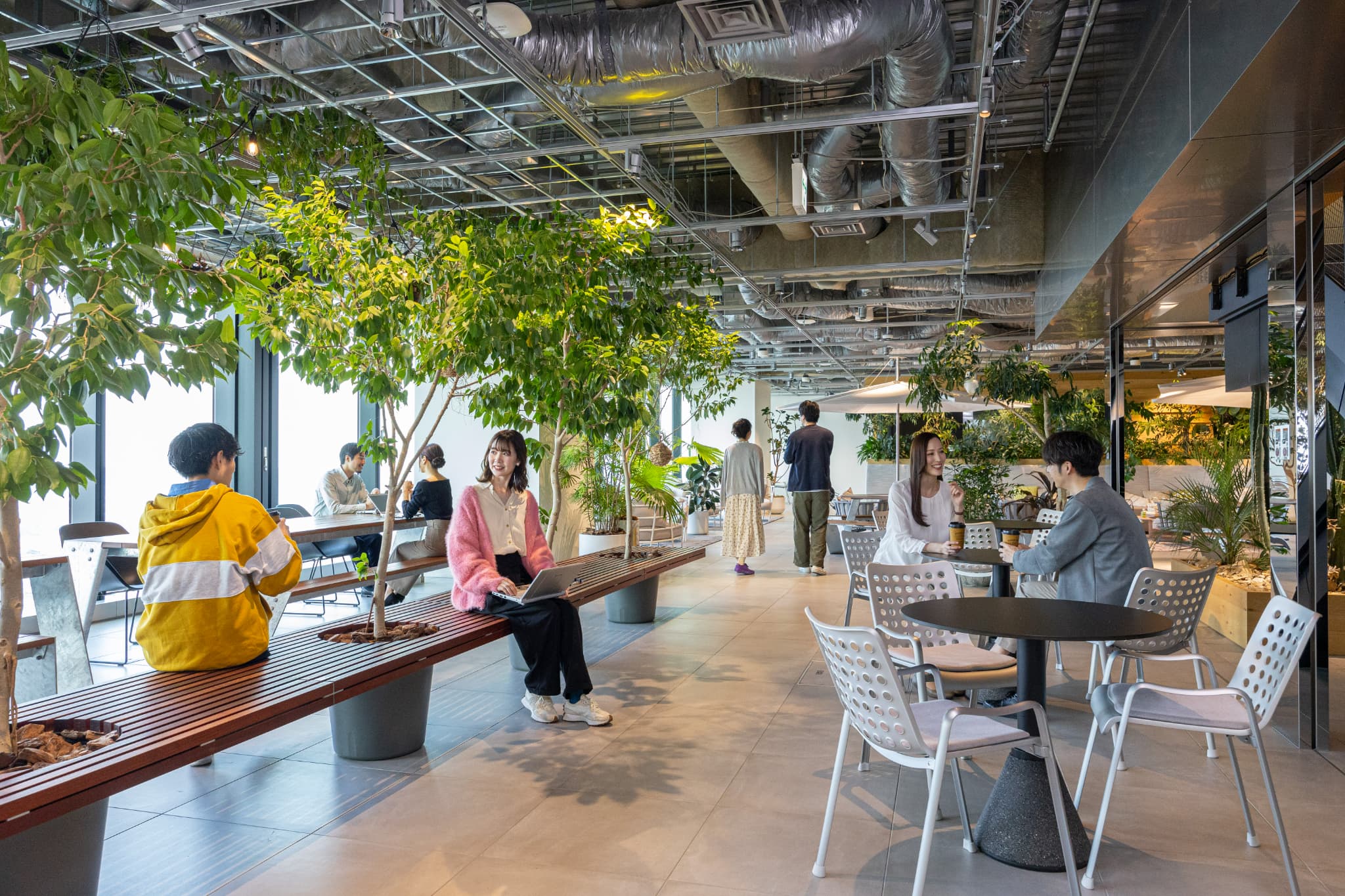 netkeiba Web開発エンジニア(mgr候補)