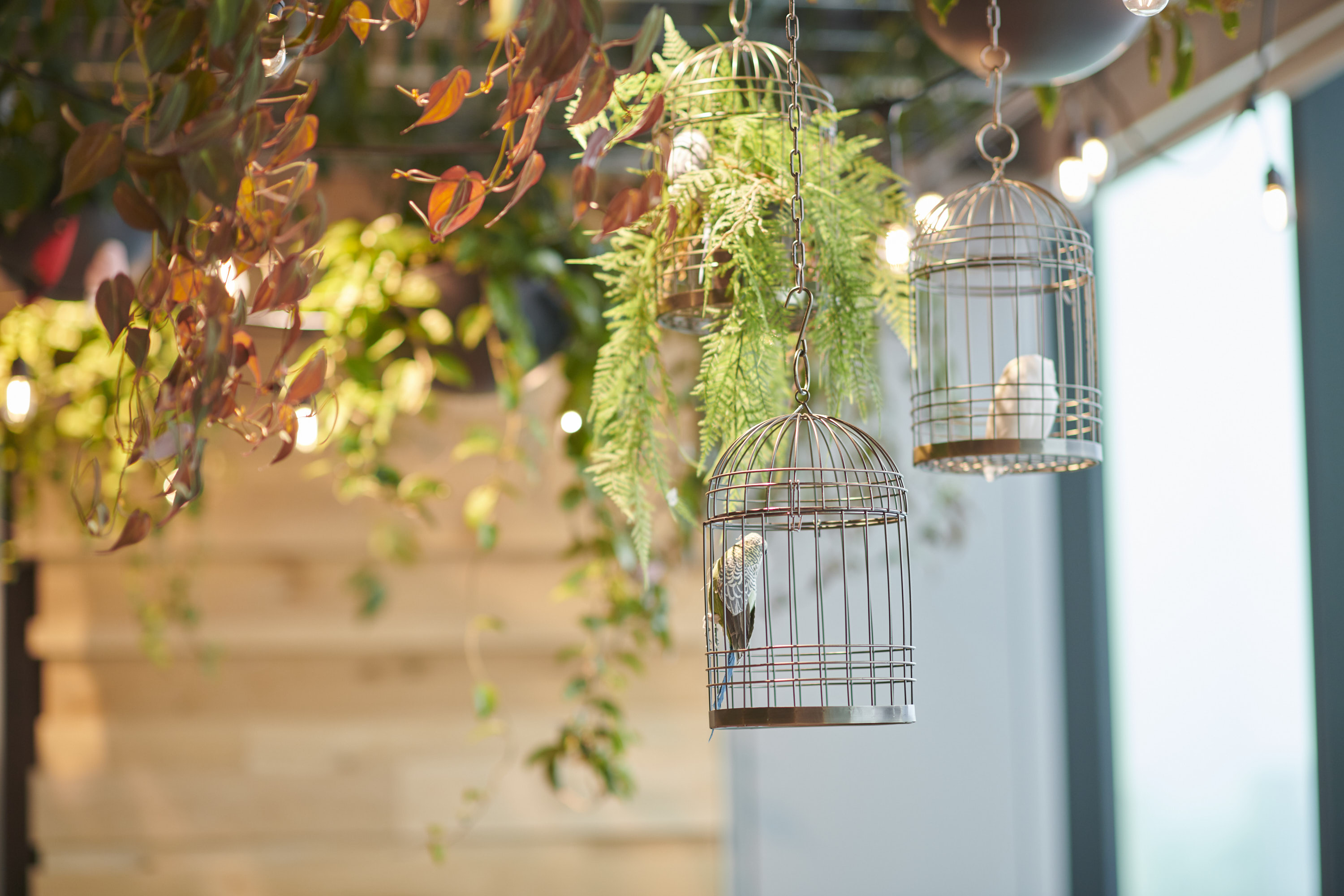 経営企画担当（部長候補）